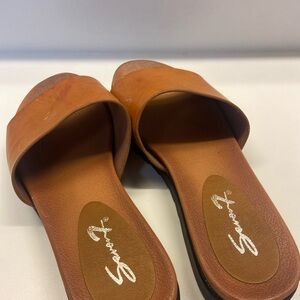 Steve Madden Women's Brown Slide Sandals